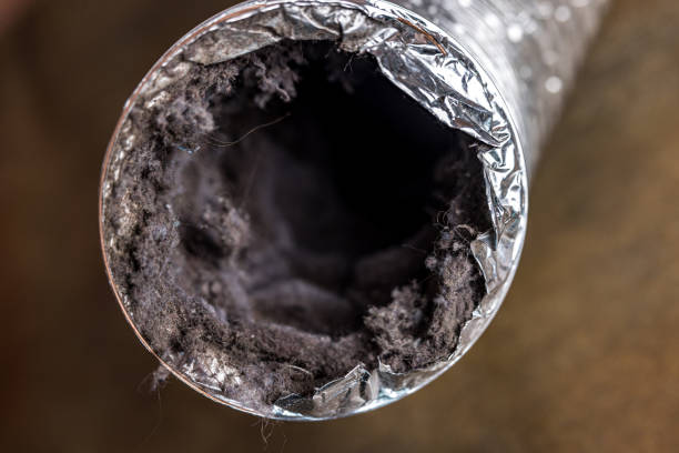 Best Air Duct Cleaning Near Me in Lake Como, NJ